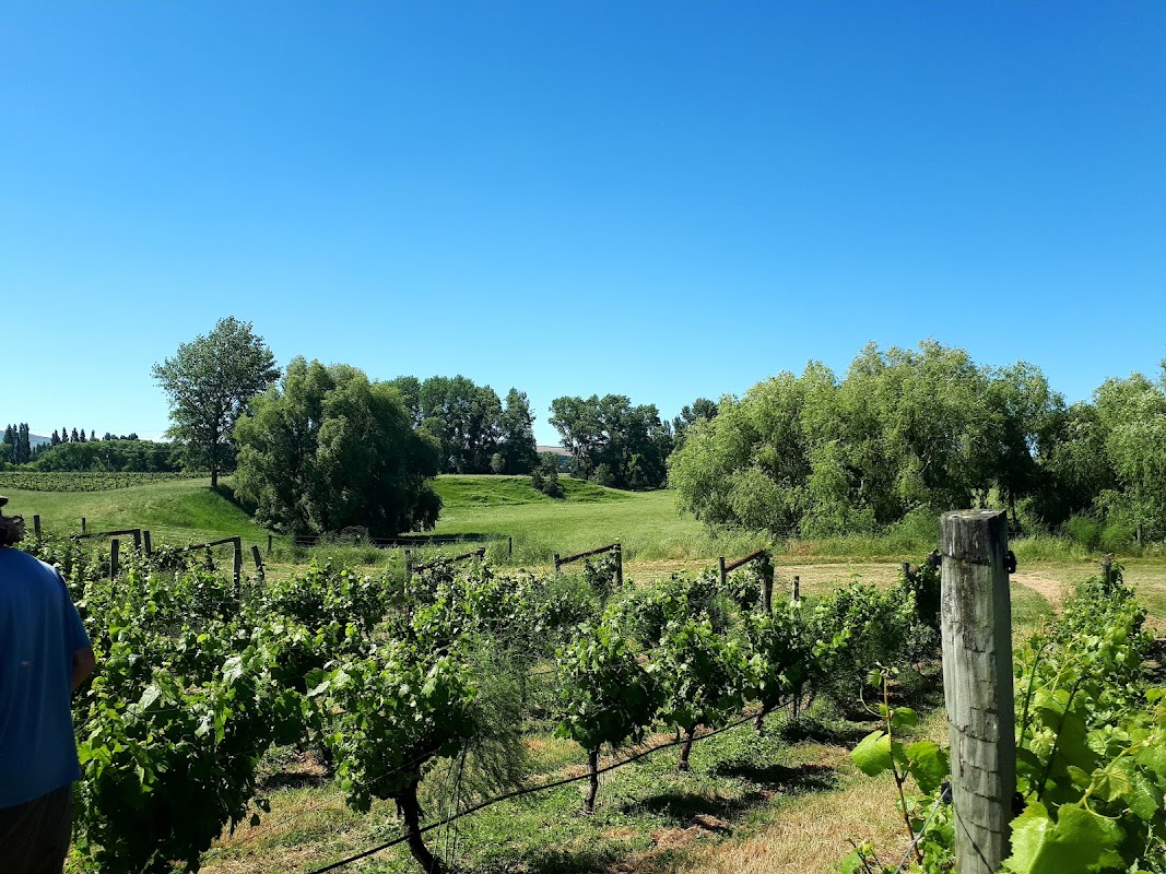 Waipara Downs Wines