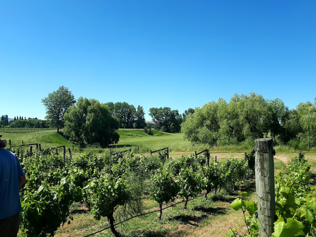 Waipara Downs Wines