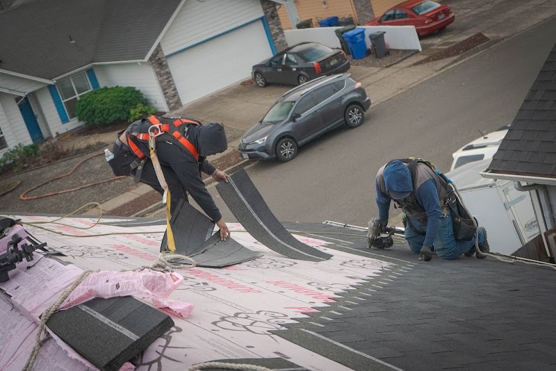 Lonestar Roofing & Exteriors photo 3