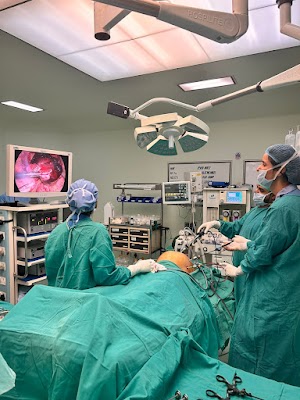 Dr Megha Sharma, MBBS, MD(OBG) , FMAS,Normal delivery in ghaziabad, Gyanecologist in ghaziabad Hysterectomy, Cystectomy, IUI - Image 2