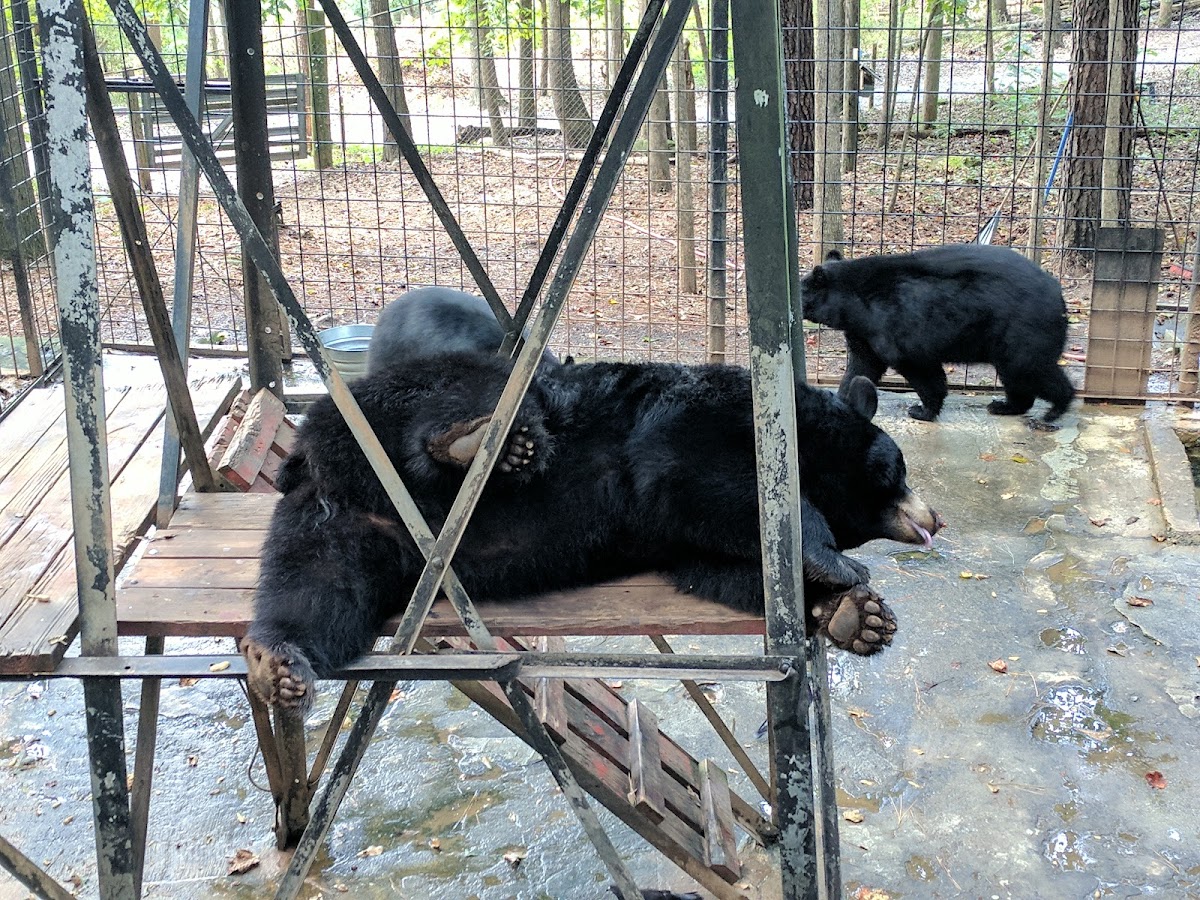 Yellow River Wildlife Sanctuary
