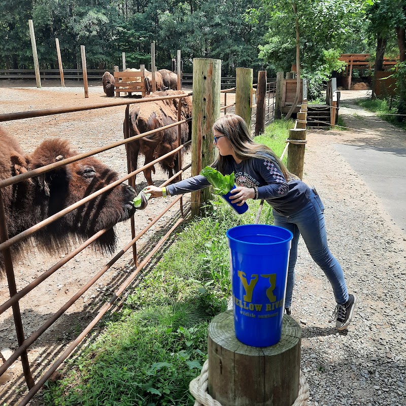 Yellow River Wildlife Sanctuary - Photo 1