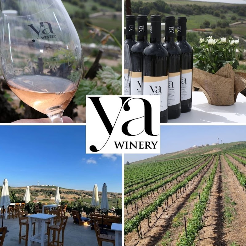 Ya winery / Ya