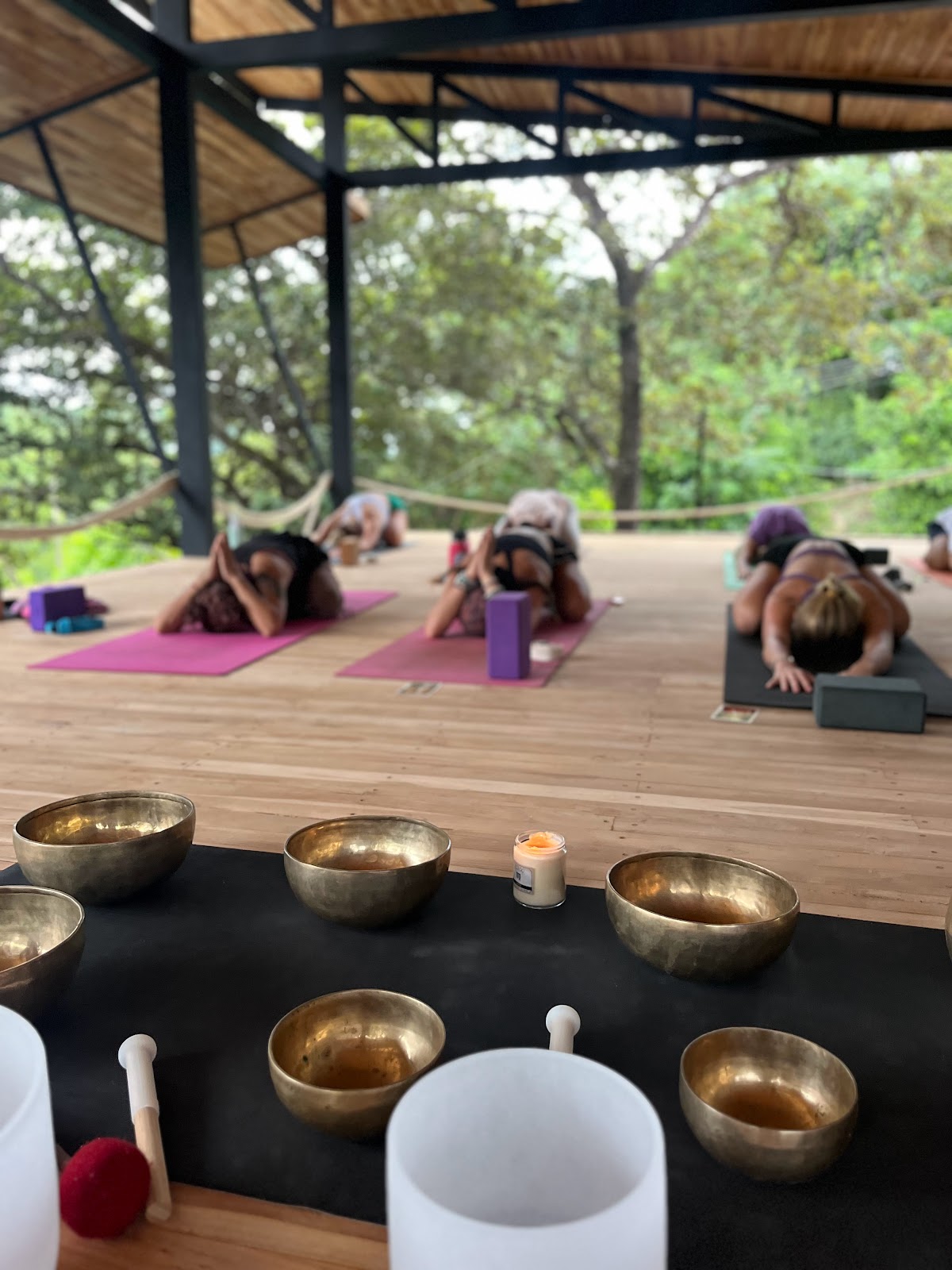 Hari OM Yoga and Wellness — 4