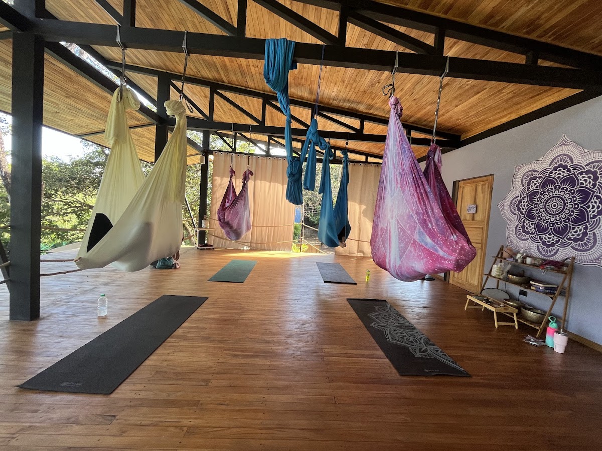 Hari OM Yoga and Wellness — 3