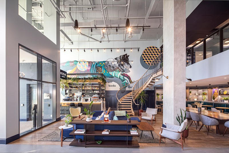 10 DEAN | Waverley photo 1