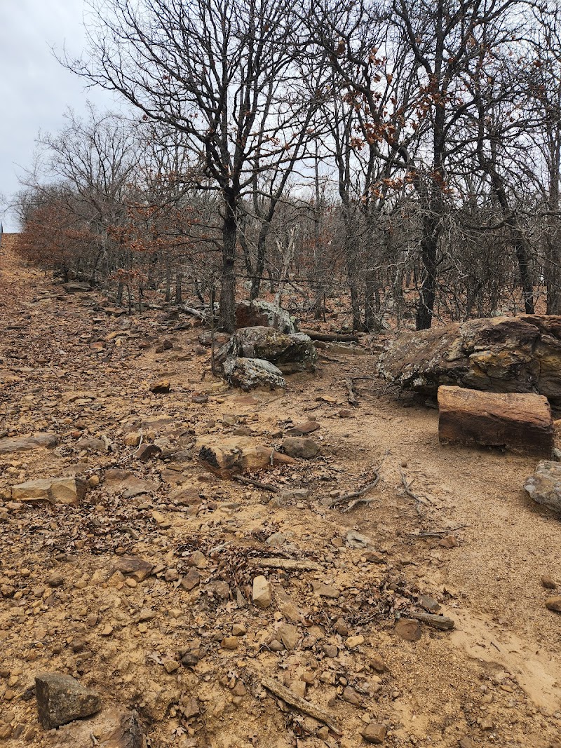 Black Mountain Hunts, LLC - Photo 5