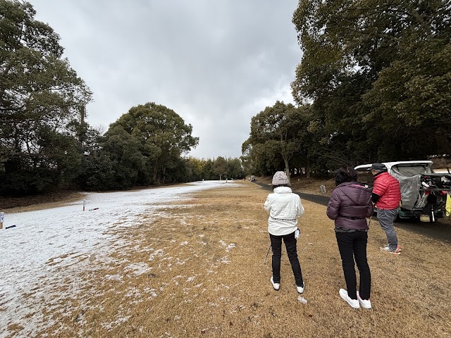 Negoro Golf Club - Photo 6