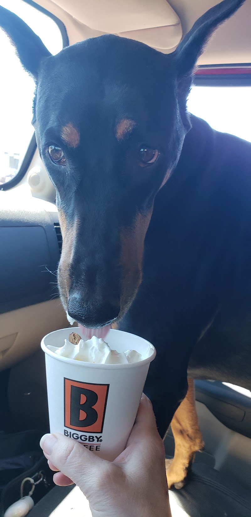 BIGGBY COFFEE photo 4