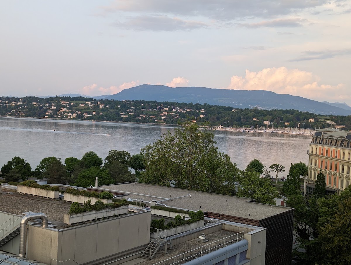 Hotel N'vY Manotel, dog-friendly hotel in Geneva