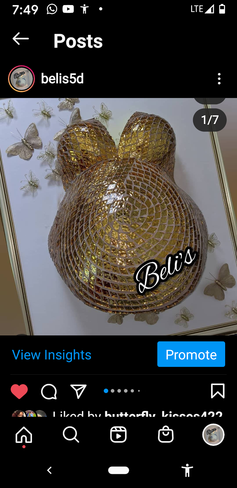 Beli's 5D & Belly Cast