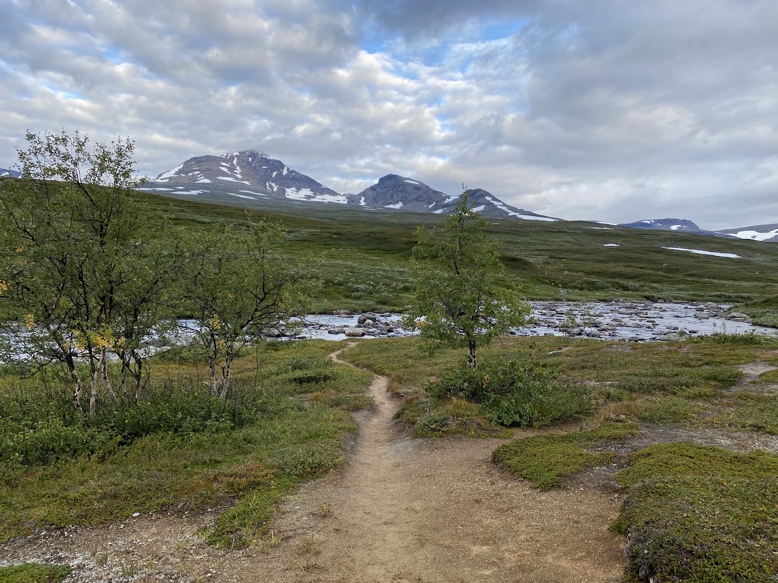 Reindeer Streamwalker