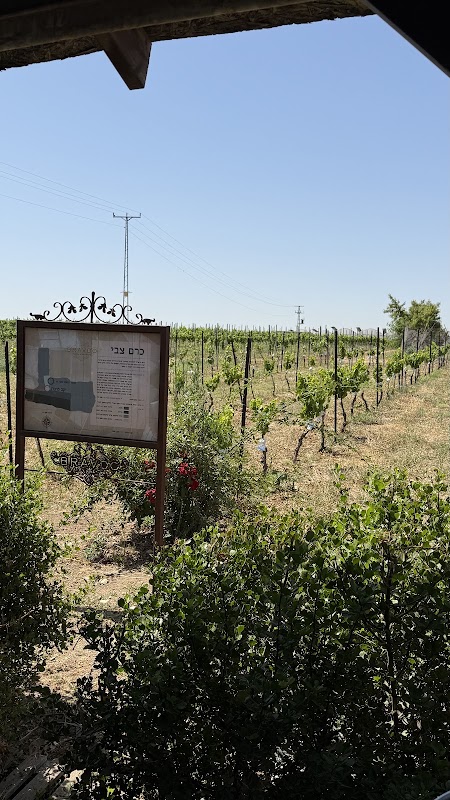 Bravdo Winery