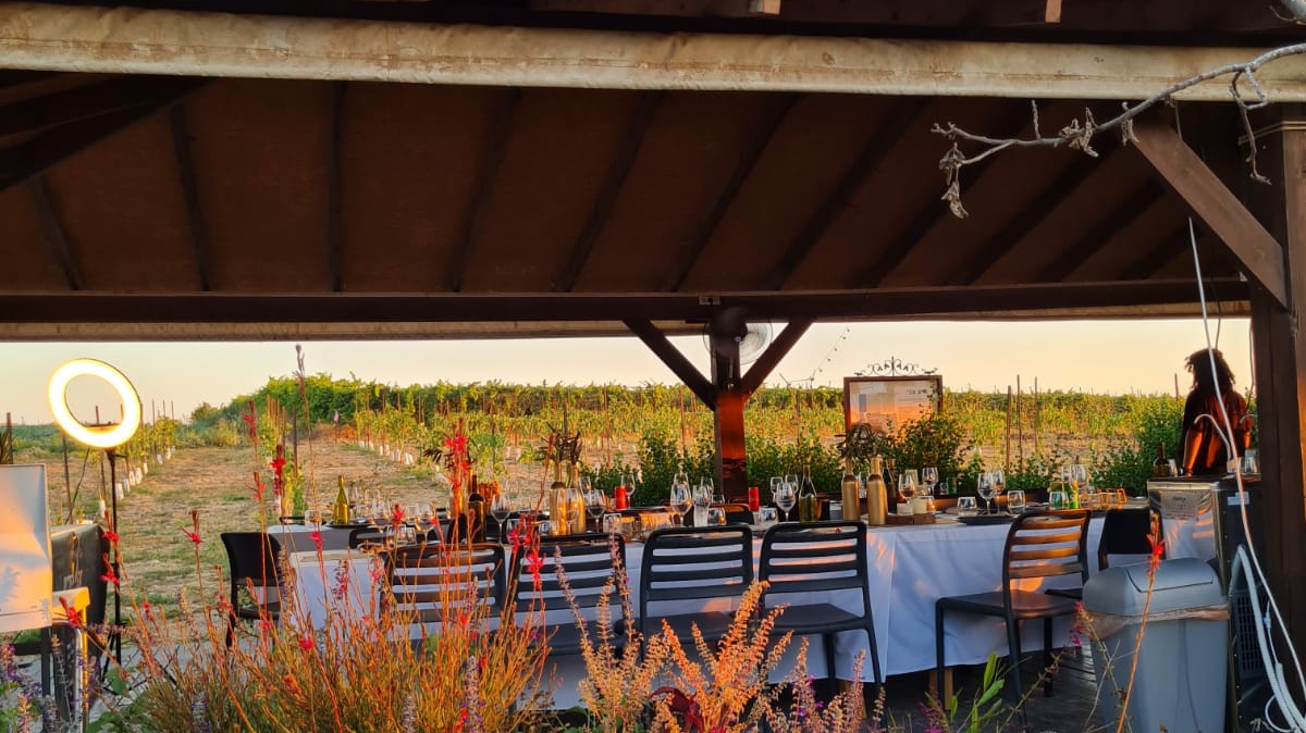 Bravdo Winery