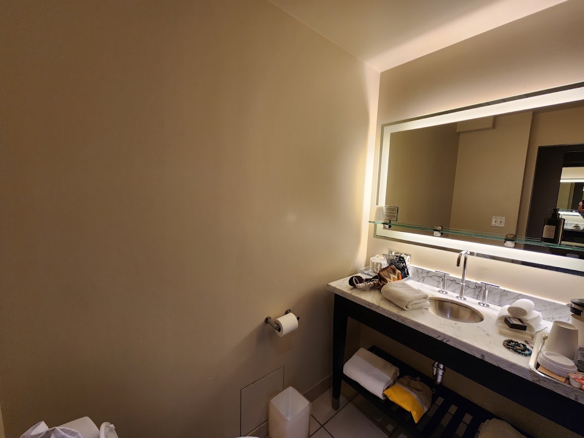 The Midland Hotel Chicago, dog-friendly hotel, photo 2