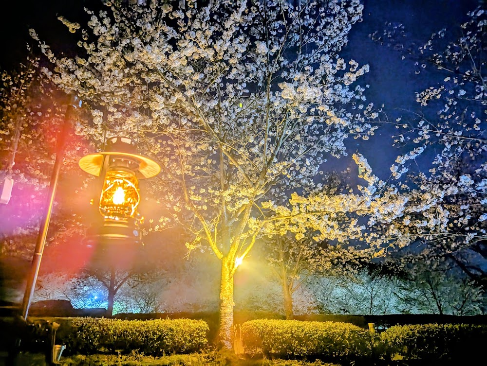 冠山総合公園オートキャンプ場