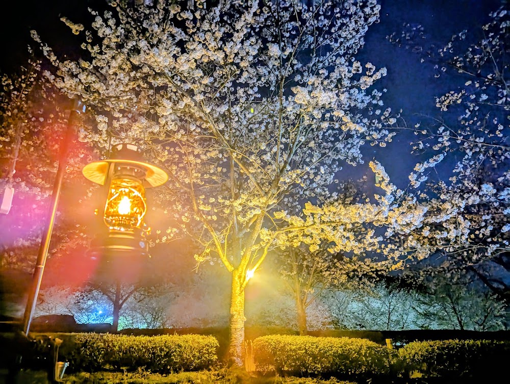 冠山総合公園オートキャンプ場