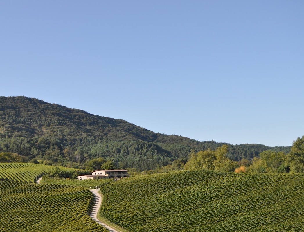 Hiruzta Bodega - TABERNA ABIERTA MIERCOLES A DOMINGO
