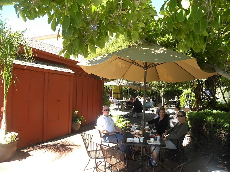 Dr. Insomniac's Fine Coffee, Tea, Smoothies & Cafe photo 1