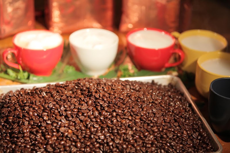 Dr. Insomniac's Fine Coffee, Tea, Smoothies & Cafe photo 2