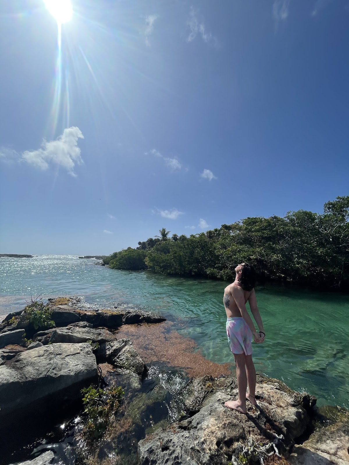 Mi Vida Yoga Retreats Tulum (Office) — 4