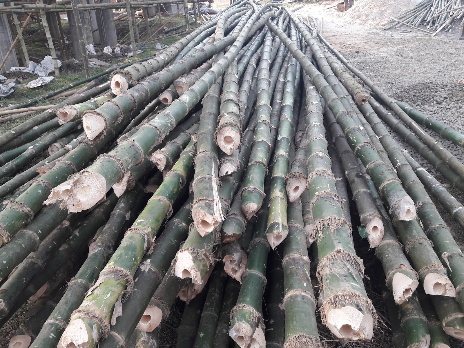 Fariyad Bamboo Centre Google photo 1