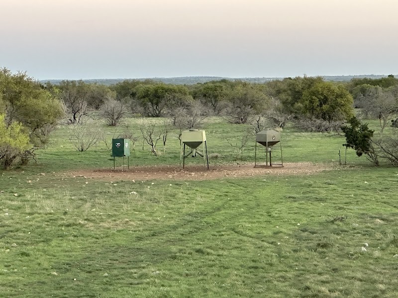 Buck Horn Ranch - Photo 6