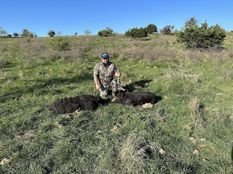 Buck Horn Ranch - Photo 3