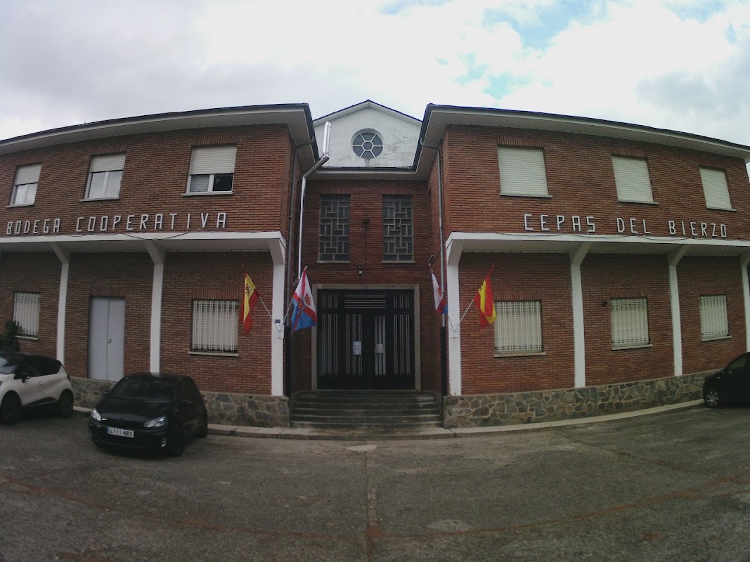 Bodega Cepas Del Bierzo