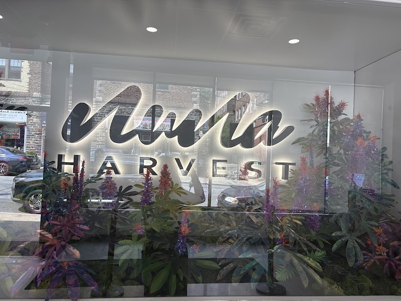 Video tour of Nuna Harvest Cannabis Dispensary retail environment