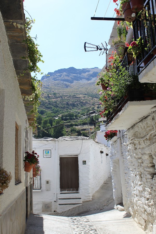 Mesón Abuela Mercedes