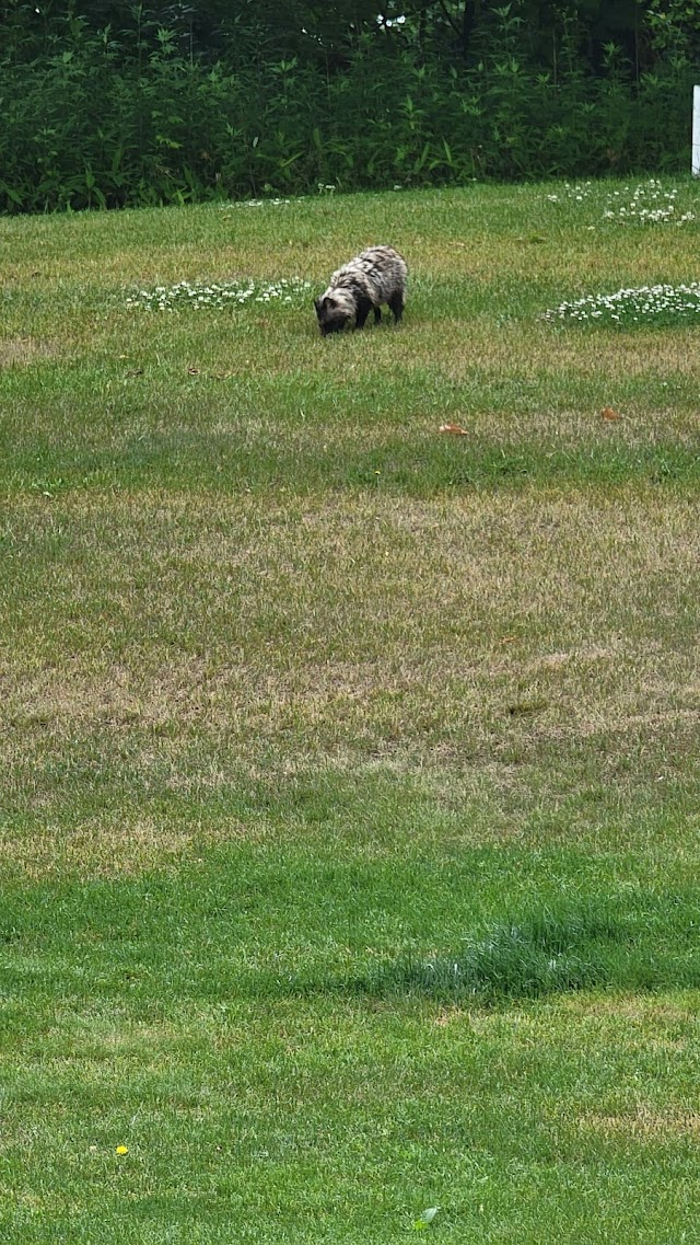 Obihiro Shirakaba Country Club - Photo 10