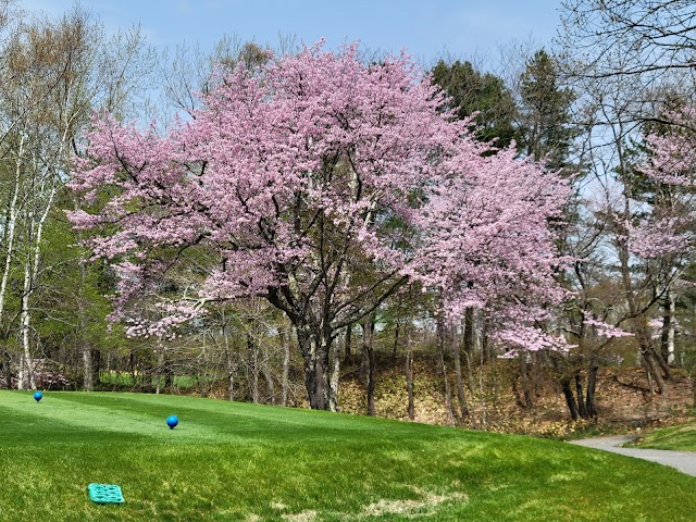 Obihiro Shirakaba Country Club - Photo 8