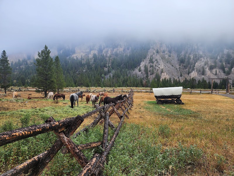 Covered Wagon Ranch - Photo 2