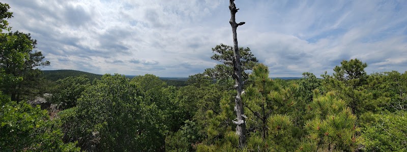 BEAR MOUNTAIN RANCH - Photo 4
