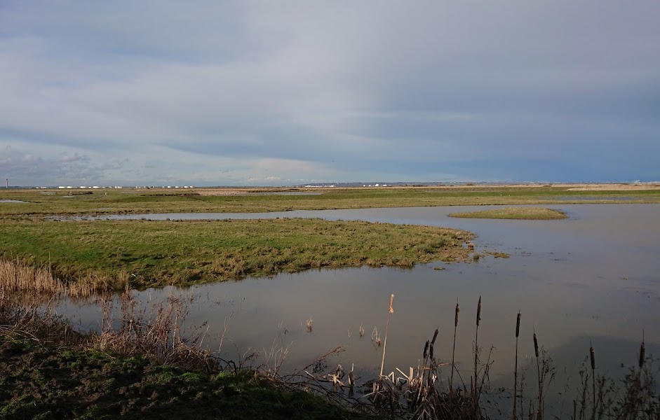 RSPB Northward Hill