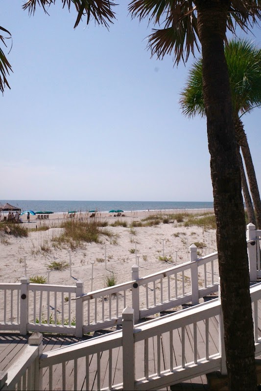 Beachside Burgers & Bar photo 4