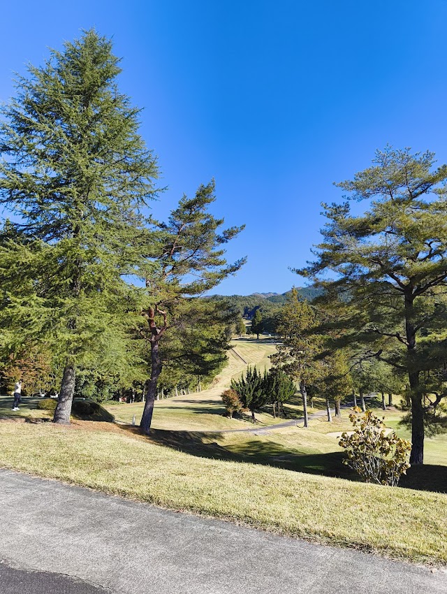 Gero Country Club - Photo 9