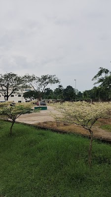 Olive Christian Hospital and Research Centre - Image 3