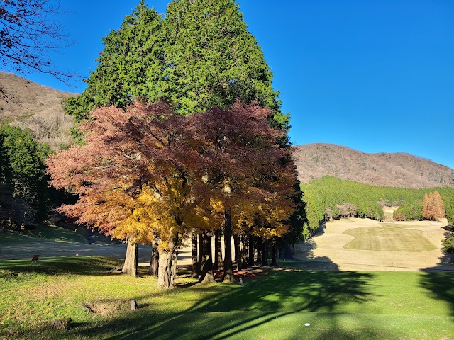 Hakone Lakeside Golf Course - Photo 9