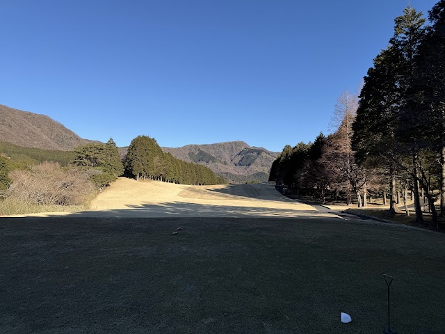 Hakone Lakeside Golf Course - Photo 5