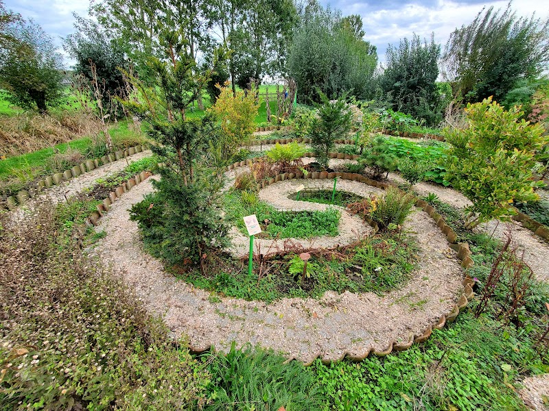 Evolutietuin