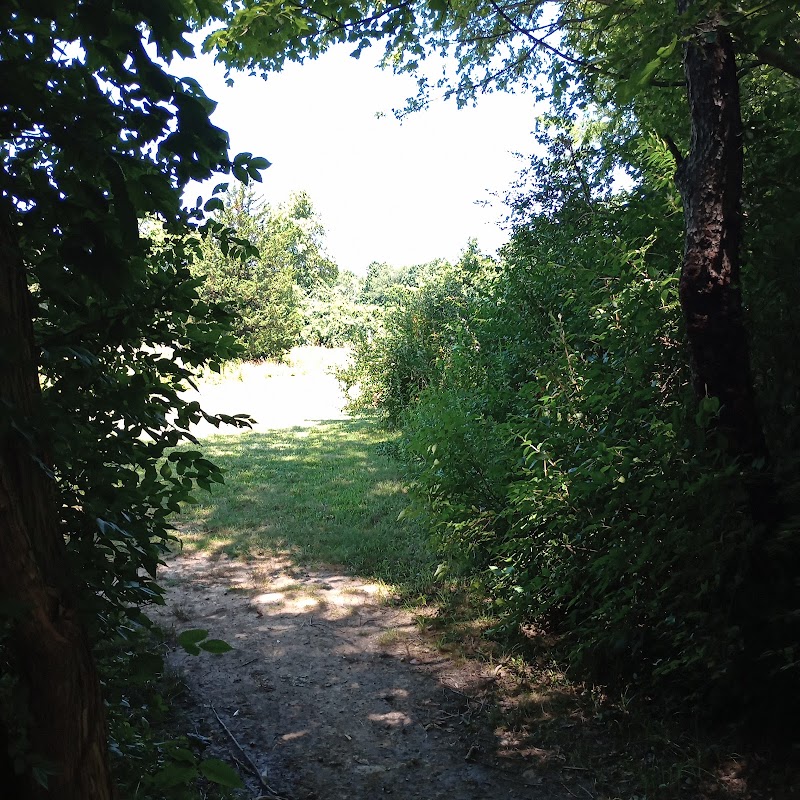Karohl Park photo 5