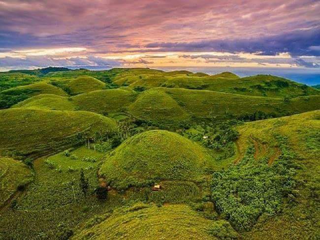 Teletubbies Hill