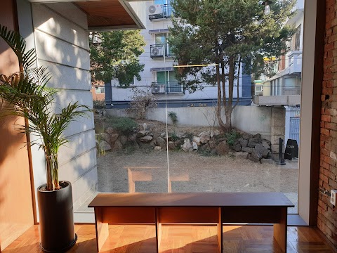 정이정 성북구 애견카페
