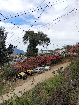 Pezielietsie Tinpaty Kohima
