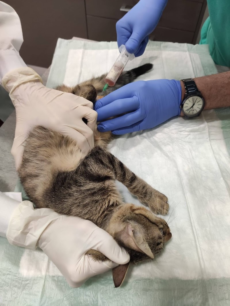 Clínica Veterinaria las Torres