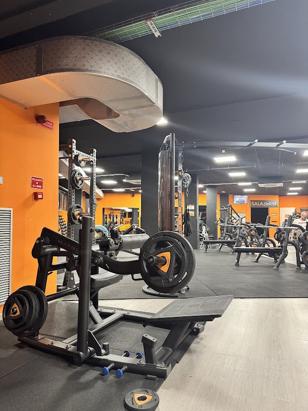 FitActive Pisa