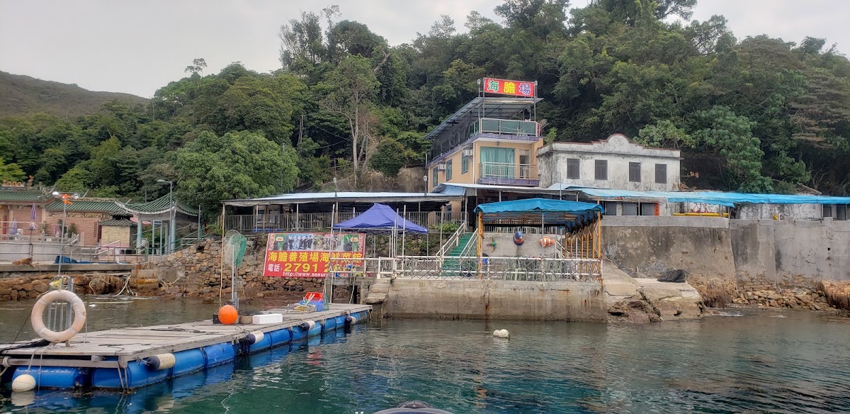 海膽養殖場海鮮菜館 (Sea Urchin Breeding Centre Seafood Restaurant) photo 3