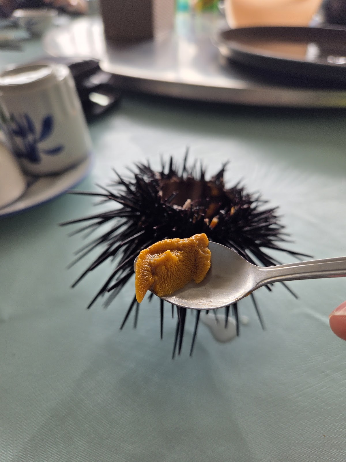 海膽養殖場海鮮菜館 (Sea Urchin Breeding Centre Seafood Restaurant) photo 5